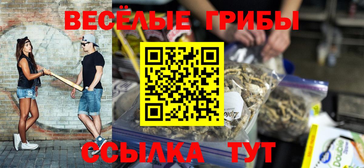 Псилоцибиновые грибы Psilocybe Урюпинск