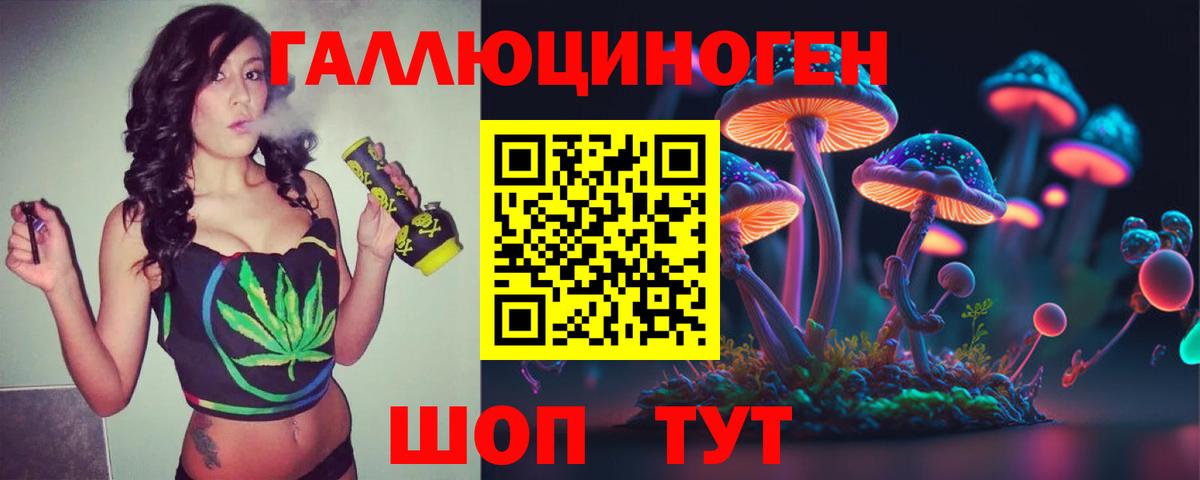 Галлюциногенные грибы Psilocybine cubensis  Вход с VPN  Урюпинск  где можно купить наркотик  Галлюциногенные грибы Psilocybe 
